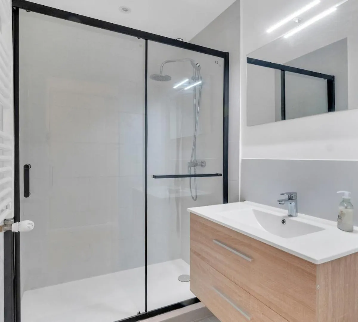 Le Quatre Sansculs - Proche Gare Apartman Chambéry