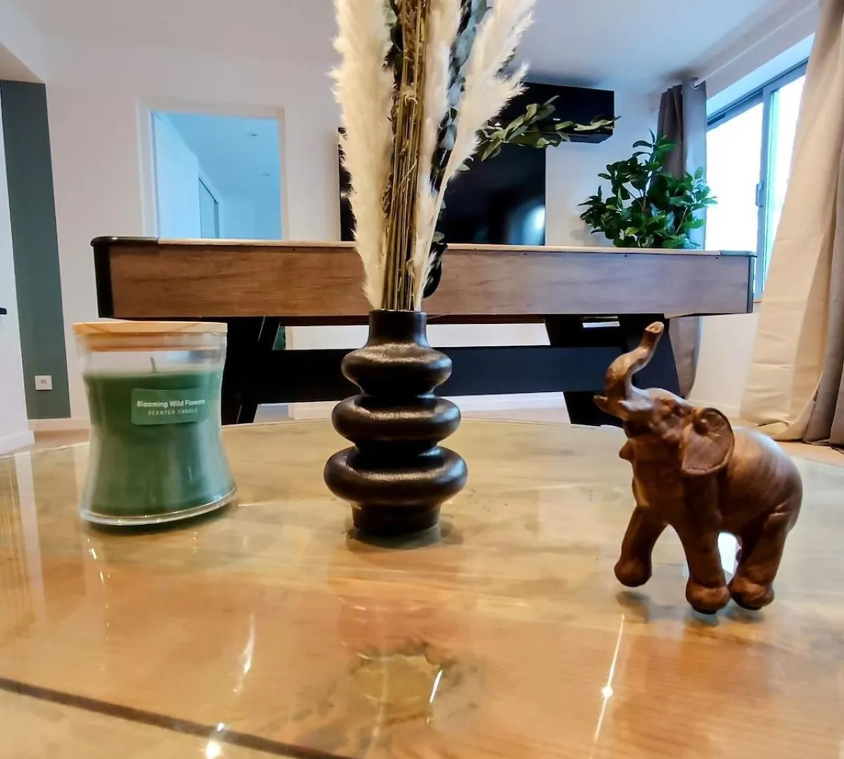 Le Quatre Sansculs - Proche Gare Apartment Chambery